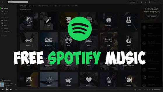 How Many Songs Can You Download Off Spotify